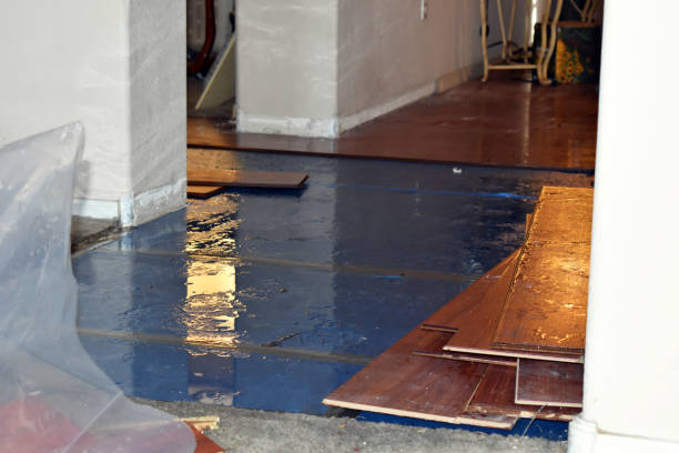 Professional Burst Pipe Cleanup technician working in Stockton, IL