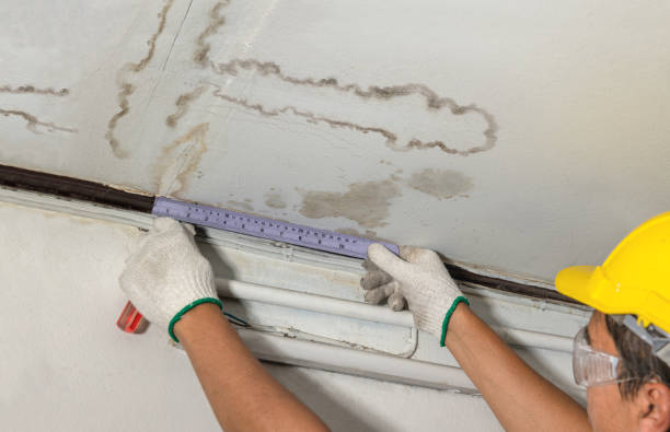 Reliable Burst Pipe Cleanup contractor in Stockton, IL by Water Damage Irwin